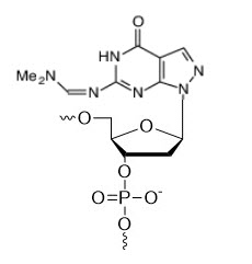 Bio-Synthesis Inc. Oligo Structure